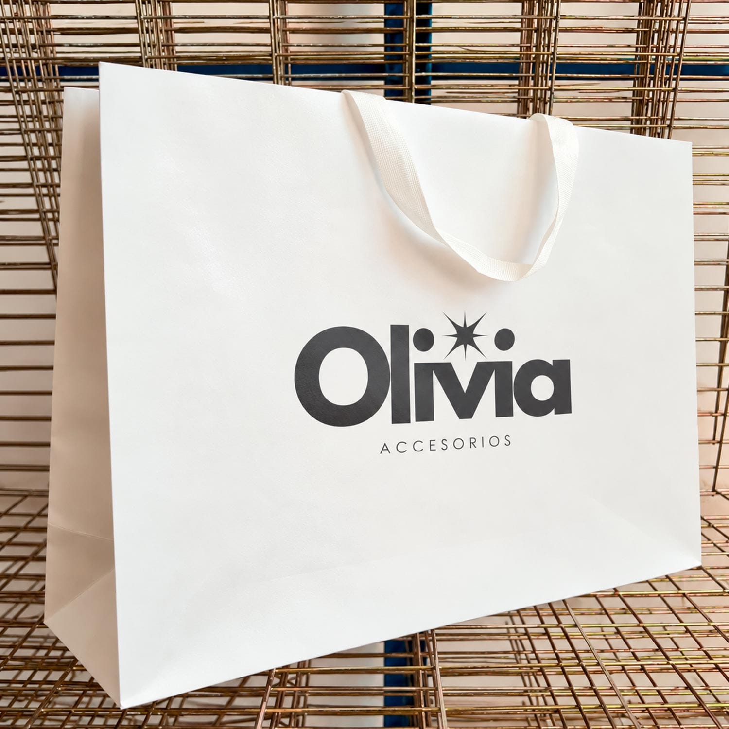 Bolsas de lujo personalizadas (XL) - Imagen 6
